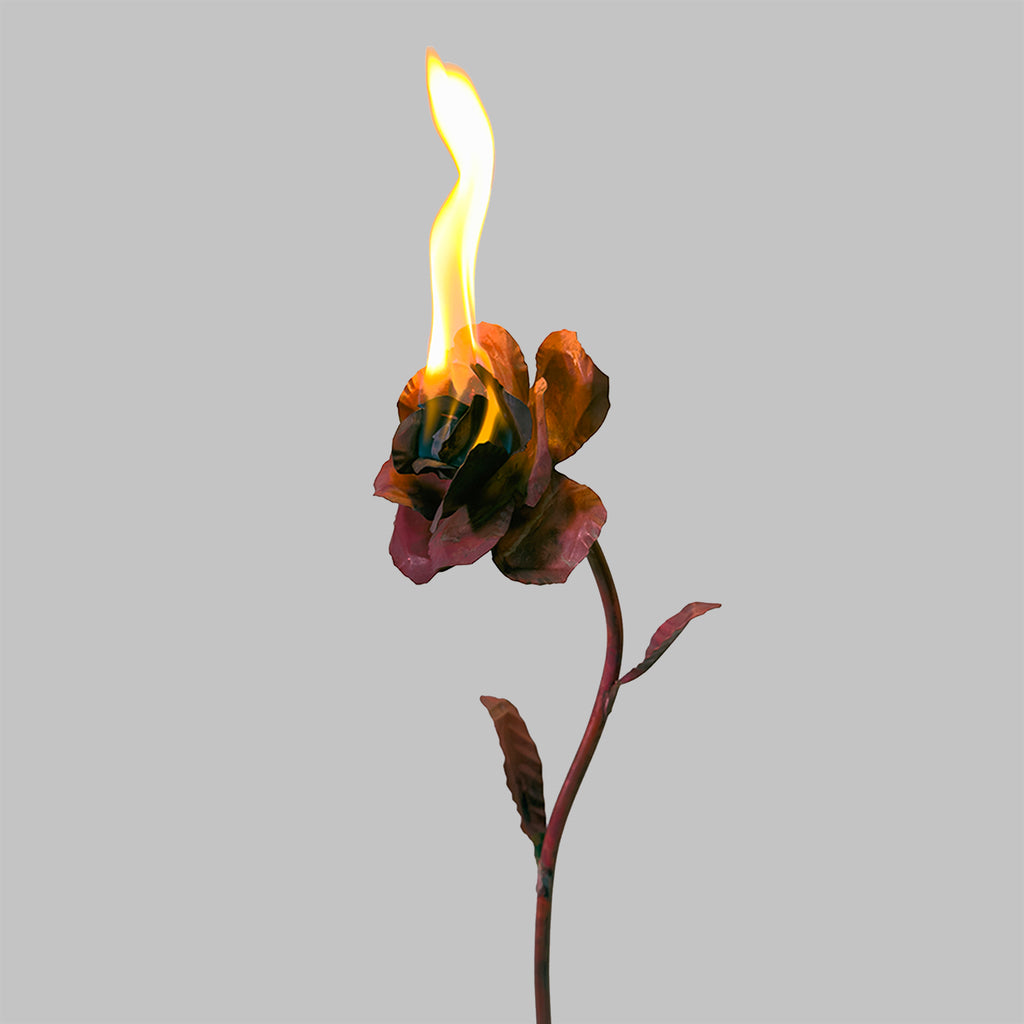 FIRE FLOWER 010